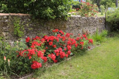 JARDIN NATURE