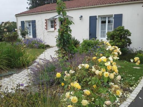 JARDIN NATURE