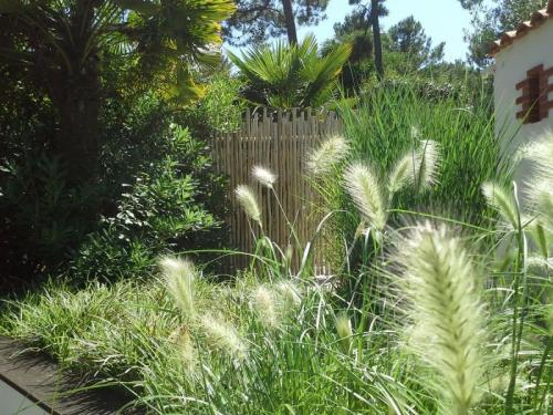 JARDIN NATURE