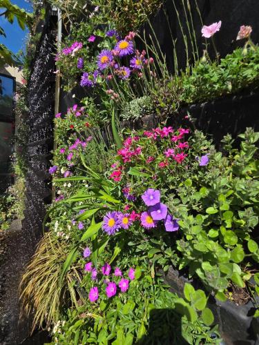JARDIN NATURE