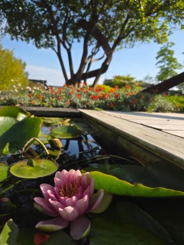 JARDIN NATURE