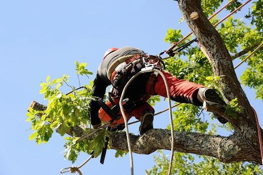 La saison de l'&eacute;lagage est arriv&eacute;e !