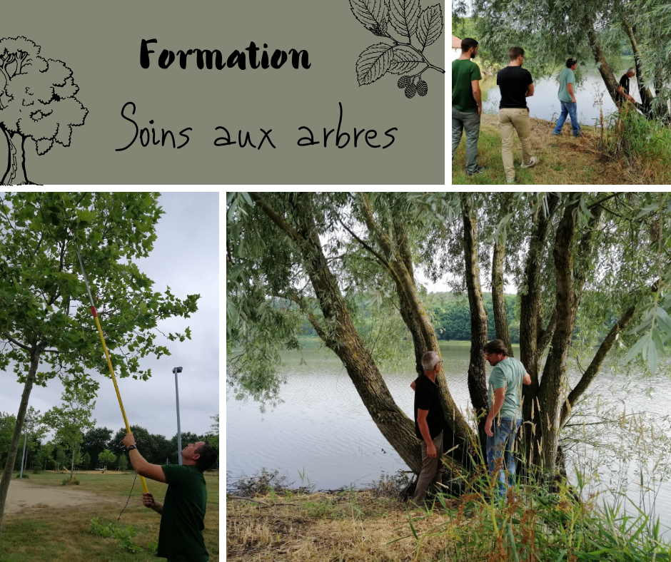 ACTU FORMATION