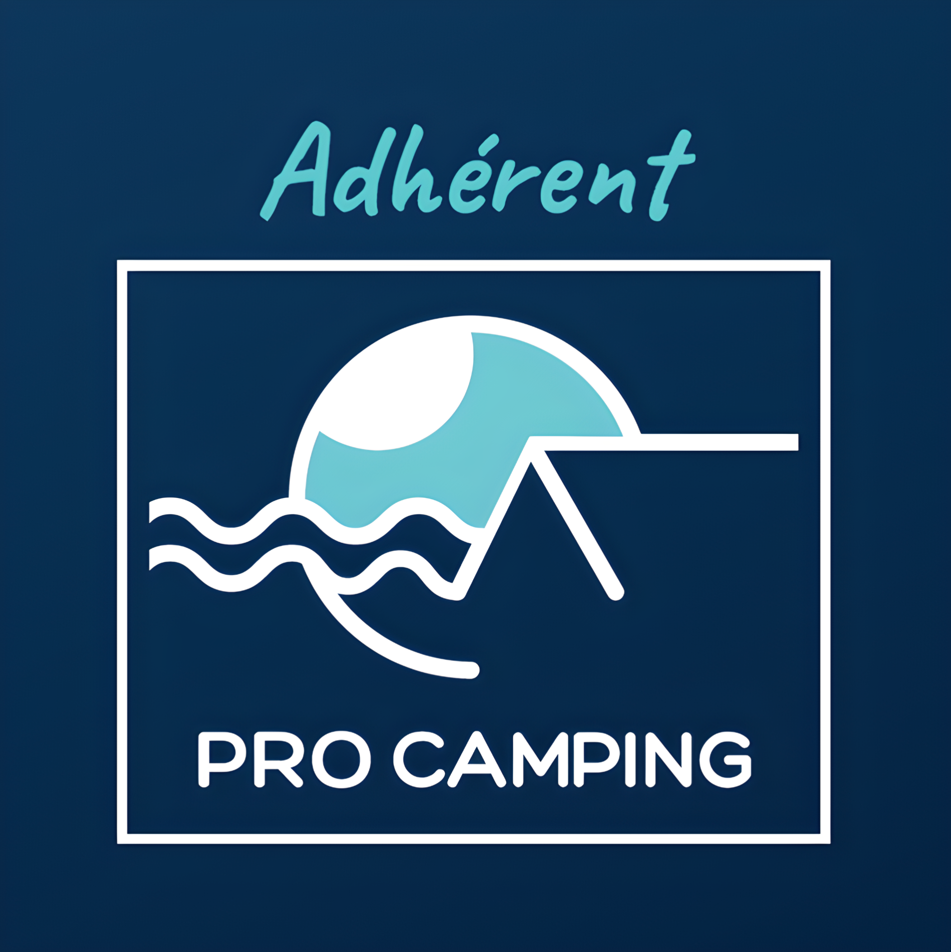 PRO CAMPING